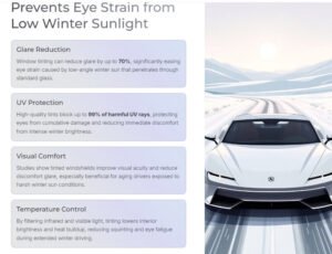 Window Tinting Prevents Eye Strain from Low Winter Sunlight